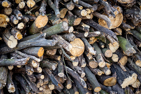 木柴的质地寒冷季节在壁炉中燃烧的木柴图片