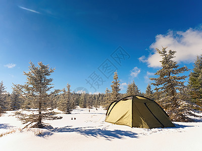 冬天在森林中的雪上露营绿色帐篷隐藏在背景图片