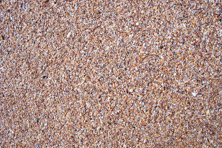 泰国奥南海滩上的贝壳图片