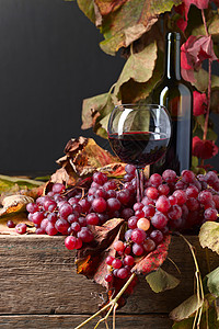 红酒和葡萄有藤叶在图片