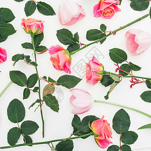 杂乱的背景白色背景上的新鲜玫瑰和郁金香图片