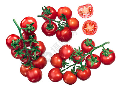 Regina西红柿葡图片