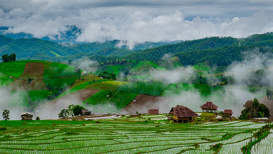 BanPapongpieng梯田图片