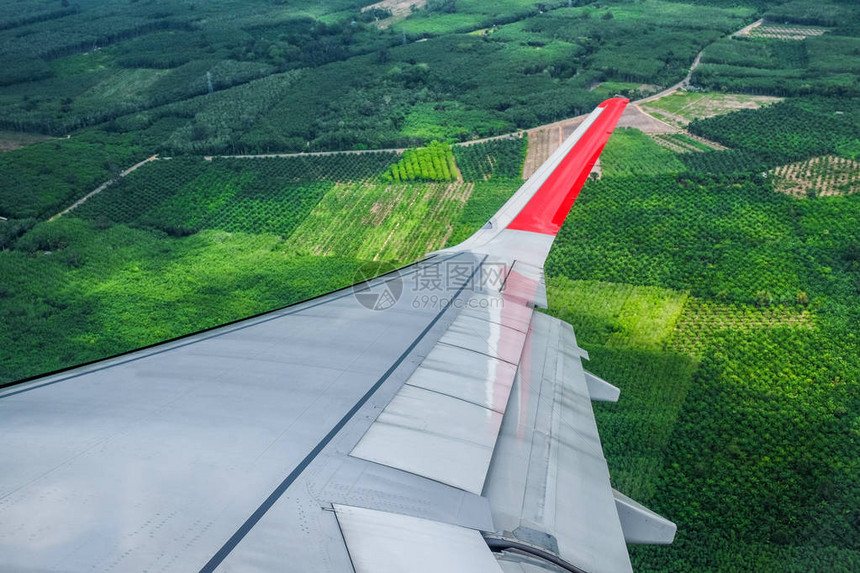 飞机窗外的绿色视野图片