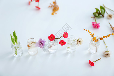 浅色背景中玻璃瓶中的花朵图片