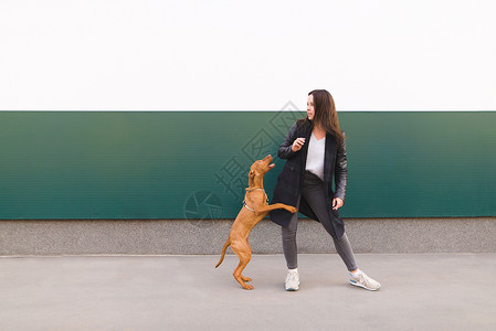 女孩和棕色狗在彩色的墙壁背景下欢乐图片