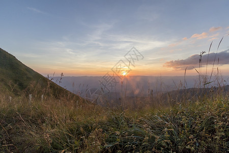 日出时的山谷风景背图片