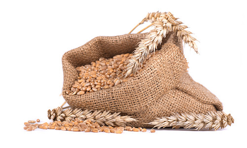 小麦和小麦在薄荷袋中孤图片