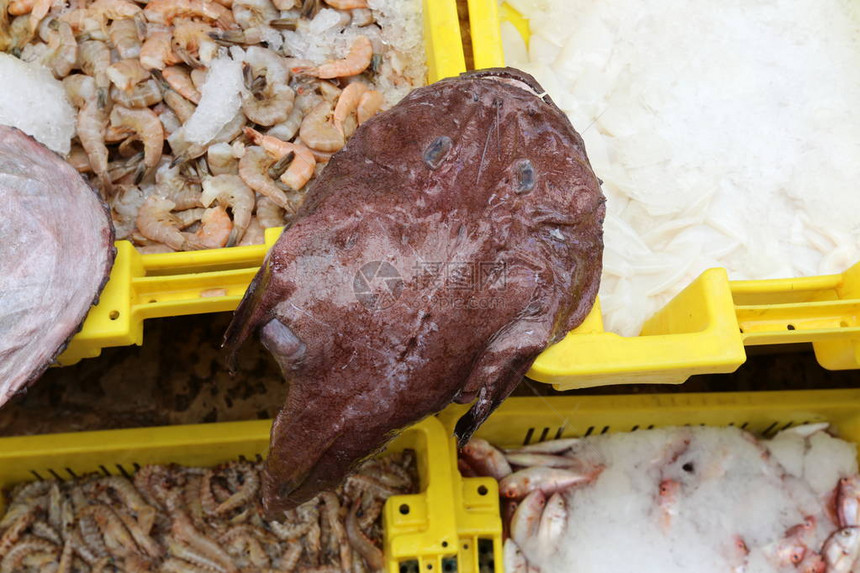 新鲜的鱼在阿卡老城的集市上出售图片