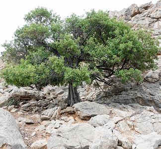 希腊克里特克列特岩图片