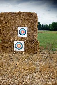 在干草堆背景的射箭目标背景图片