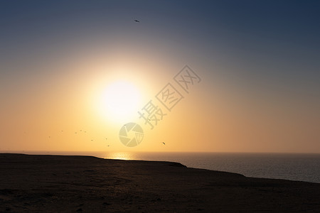 海鸥在日落时飞向大海图片