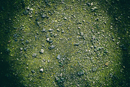超绿色地面质地沙面石料背景图片