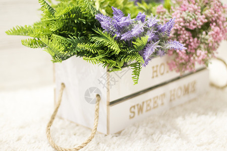白色木箱中的花朵室内装图片