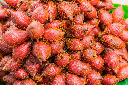 Salaccawallichiana亚洲红刺毛茸的水果糖醋图片