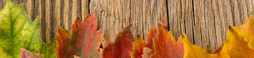 秋天时间背景的班纳图片