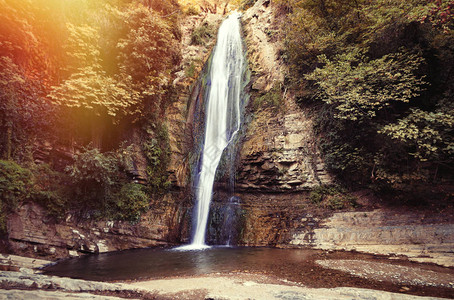 植物园中的瀑布第比利图片