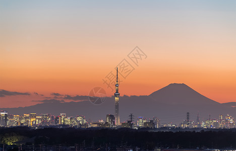 东京天树市中心建筑和冬季藤山的图片