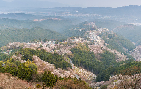 日本奈拉县吉野山被包围屋中布满了图片