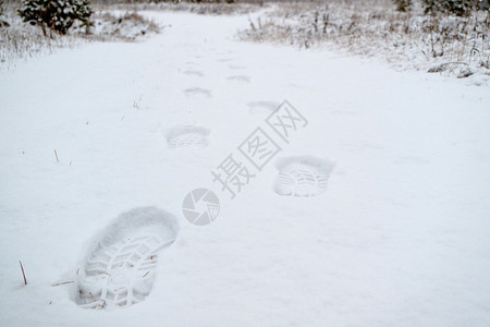 下雪后留下的痕量图片