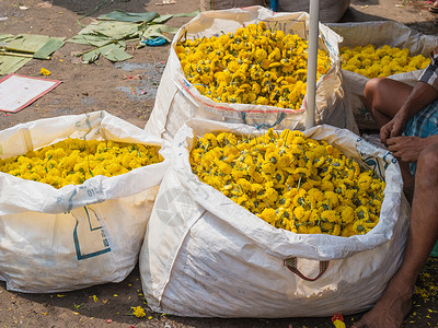 在印度泰米尔纳德邦的一个花市出售的鲜背景图片