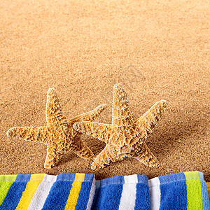 夏季沙滩海星在边图片