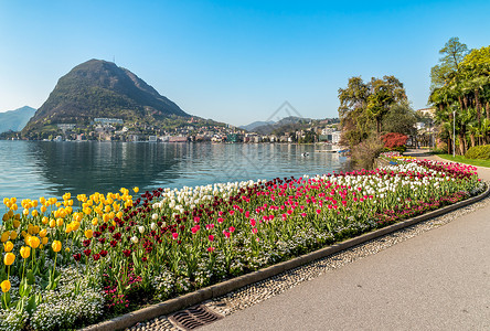 与卢加诺湖的风景以及瑞士春天齐亚尼公园开花背景图片