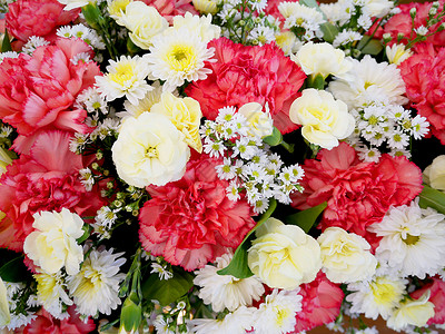婚礼花背景由康乃馨玫瑰和装饰植物制成的装饰图片