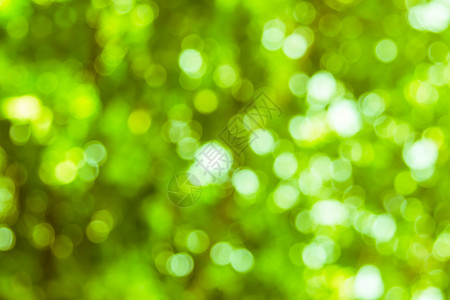 绿色和白色模糊散焦自然模糊或散景圆圈彩色雪花在树下闪发光图片