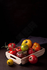 多彩新鲜西红柿有机农业和农耕概念季图片