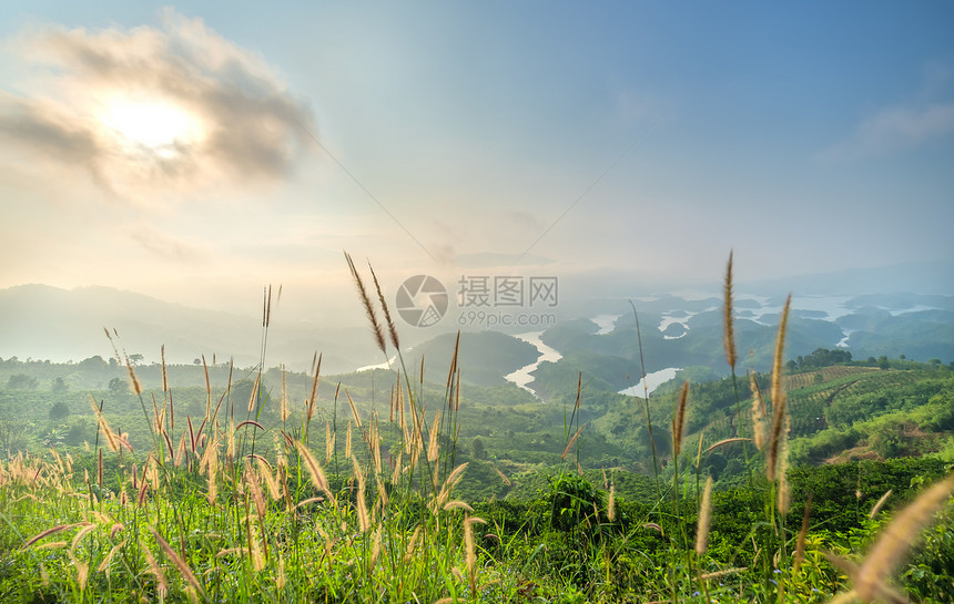 夏日清晨的塔东湖景观图片
