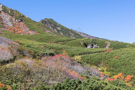 秋天长野的白马山图片