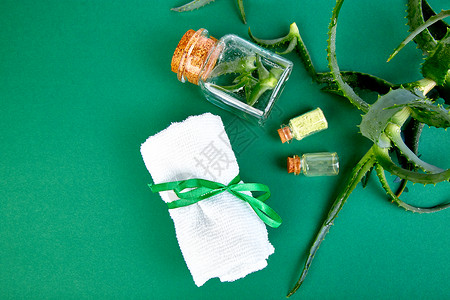 星仙人掌芦荟Jafferabad巴多斯草药用于皮肤治疗和护理图片