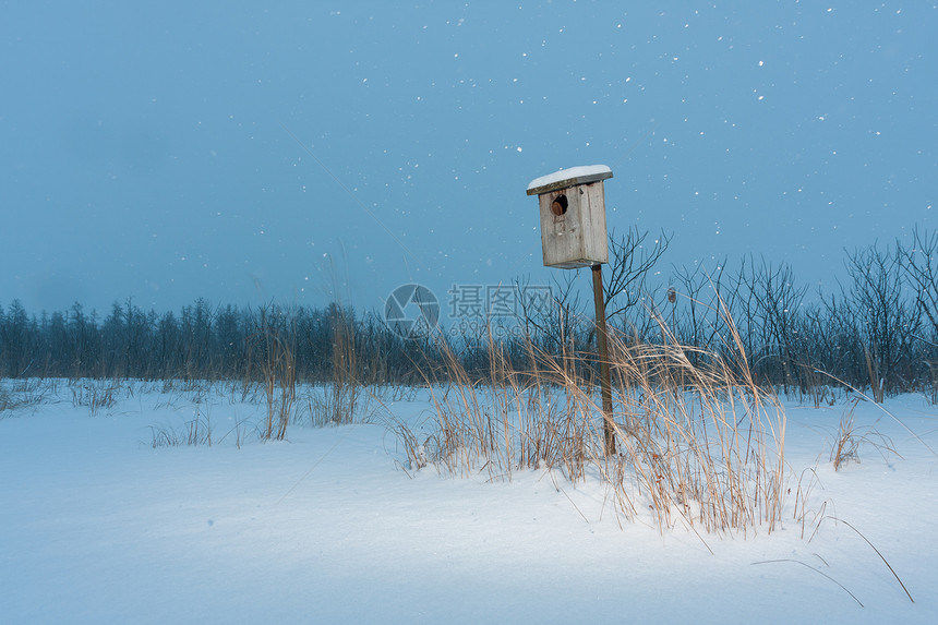 晚上下雪的上的鸟舍图片