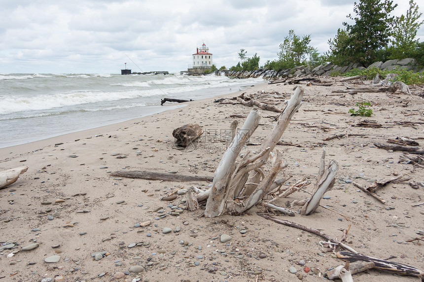 漂浮木和海滩上的其他残骸在背景中有一个图片