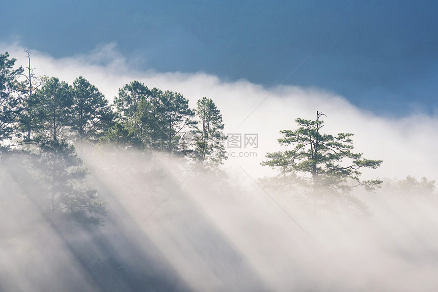 在泰国山区日出时神奇的雾在自然山上飘移图片