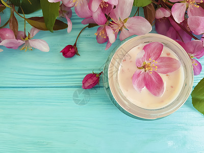 蓝色木玉兰上的奶油化妆品粉红色花朵图片