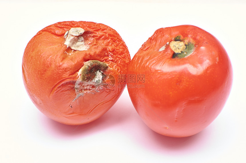 模制红番茄在白色背景上孤立图片