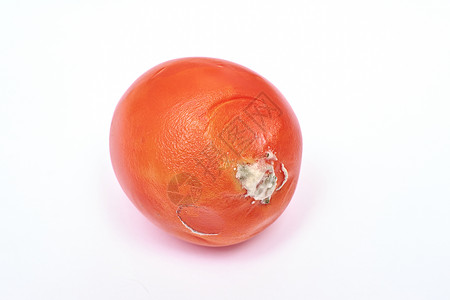 白色背景的红番茄白面上孤立的有温素的图片
