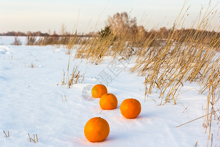 橙子和雪的温暖水果的对比图片