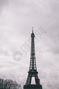在法国巴黎的埃菲尔铁塔查看图片