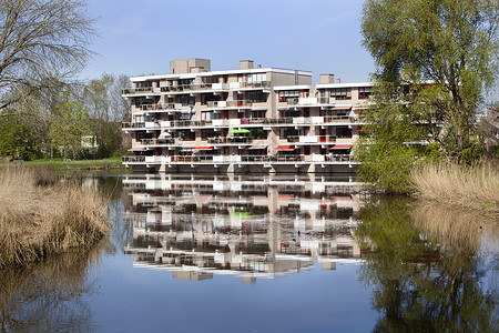 荷兰CapelleaandenIJssel近水的八图片