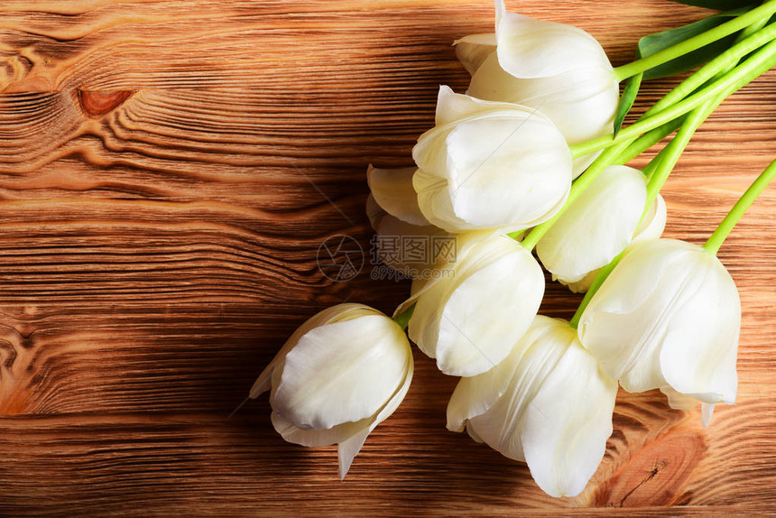 木制背景上的白色郁金香花束特写图片