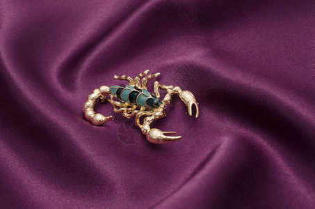 红色丝绸上的金蝎子胸针图片