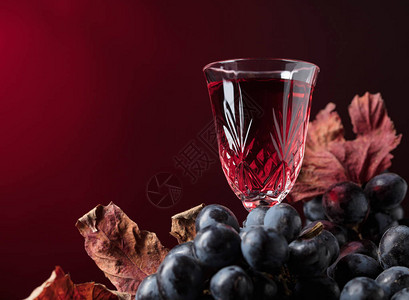水晶玻璃特写镜头用红酒在黑暗的背景带有干藤叶的黑葡萄选择焦点图片