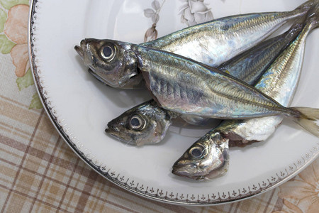 盘子上的新鲜沙丁鱼背景图片