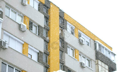 城市中下雪图片