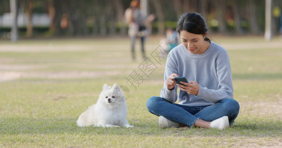 妇女与她的狗坐在绿草地上用手机和她图片