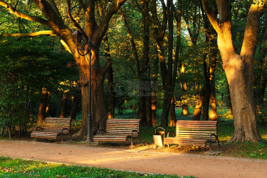 有长凳日落的夏天公园图片