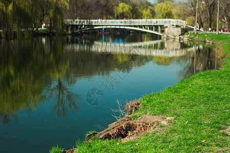 在春天美丽的河流公园和图片